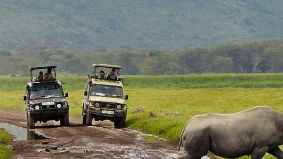 Cape Town: Full-Day Guided Safari + Roundtrip Transfer + Lunch