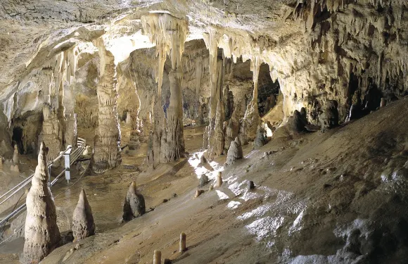 托伊拉諾洞穴：快速通道門票小童