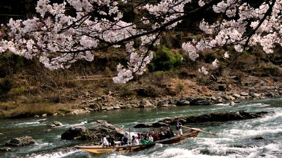 Perjalanan Bot di Sungai Hozugawa