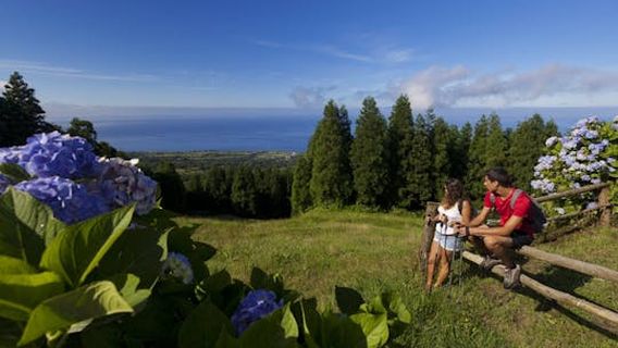 Ponta DelgadaTours