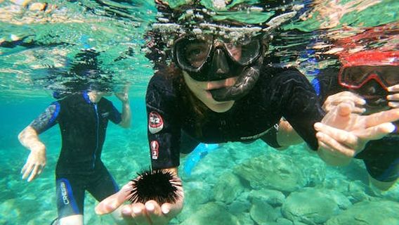 GreeceExperiences
