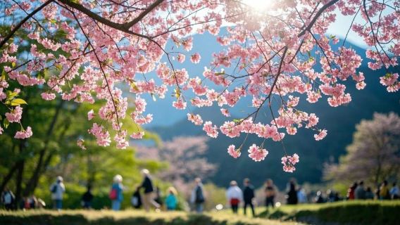 小眾深度遊：京都三千院+嵯峨野觀光小火車一日遊+普通話司機