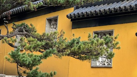 南京日遊