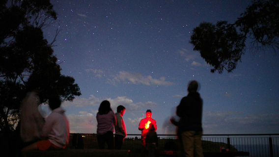 SydneyTours