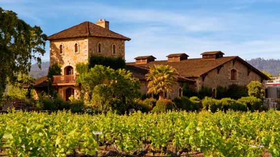 From San Francisco: Day Trip to Napa Valley Reserve Wine Tasting Tour