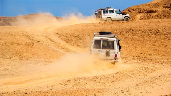 Hurghada: Quad Bike Safari & Camel Ride + BBQ Dinner with Bedouin