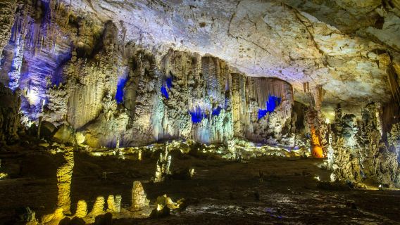 [Depart from Guiyang] One-day tour to Zhijin Cave Scenic Area and Zhijin Grand Canyon (Explore the king of China's karst caves)