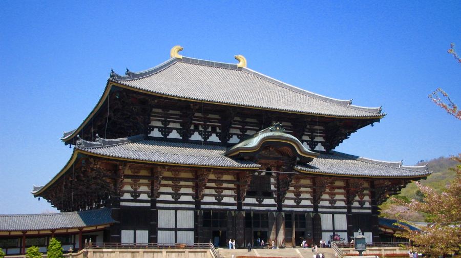 【京都&奈良&宇治一日遊】奈良公園+伏見稻荷+平等院+抹茶街