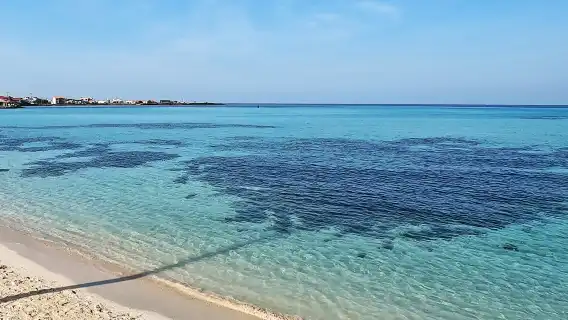 濟州市 UNESCO 原創日遊 - 東部路線