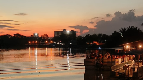 Croisière aux lucioles à Kota Tinggi, Johor — Billet d'entrée inclus — Départ de Johor Bahru