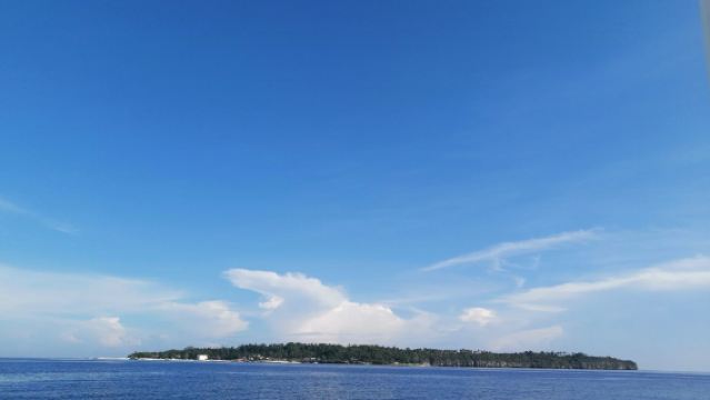 Pamilacan Island Hopping Tour with Lunch