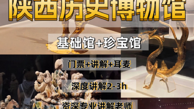 Commentaire+ Billet d'entrée+ casque gratuit (contactez-nous cinq jours à l'avance)