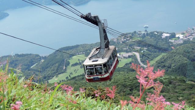 Mount Fuji and Hakone Full-Day Tour (Return by Shinkansen)