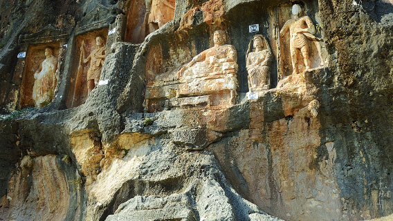 Линьцан индивидуальный трансфер/аренда автомобиля с водителем, гид-переводчик, встреча и проводы, сопровождение в турах, выставках, деловых поездках, сопровождение на медицинские приемы
