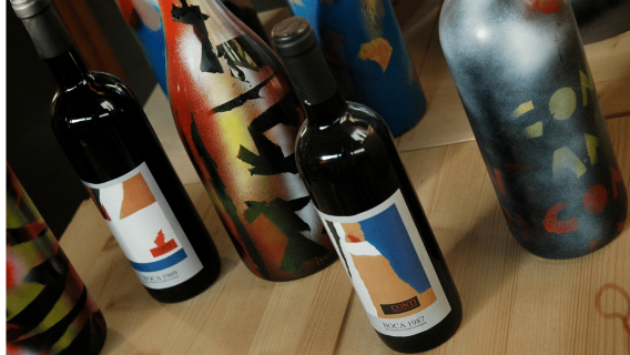 Visita a una bodega en un castillo y cata de vinos cerca del lago Maggiore