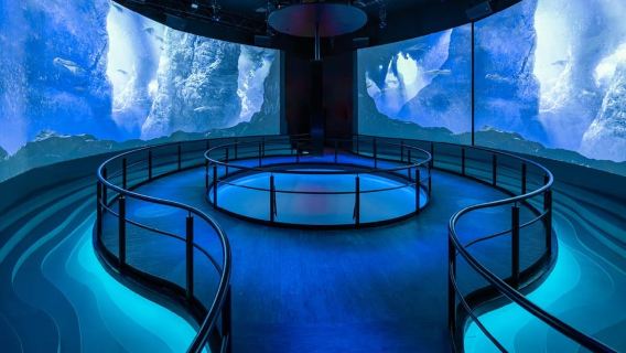 Las Vegas : billet pour le survol de Las Vegas Experience