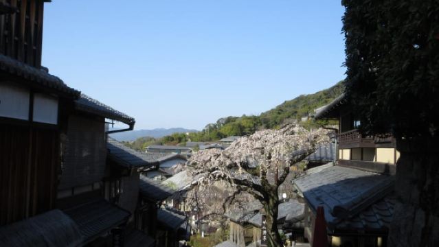 KYOTO: Tempio Kiyomizu Pagode Gion “Geisya” (Guida Italiana)
