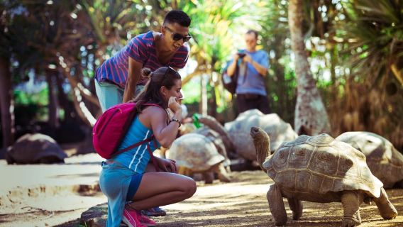 Mauricio: Tour de día completo en quad con almuerzo