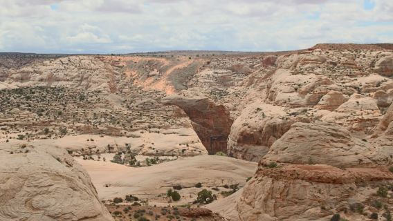 Da Moab: esplorazione di 1 giorno dell'Horseshoe Canyon