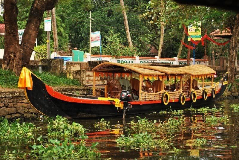 Cochin : croisière en canoë sur les backwaters d'Alleppey/Alappuzha (Shikara)