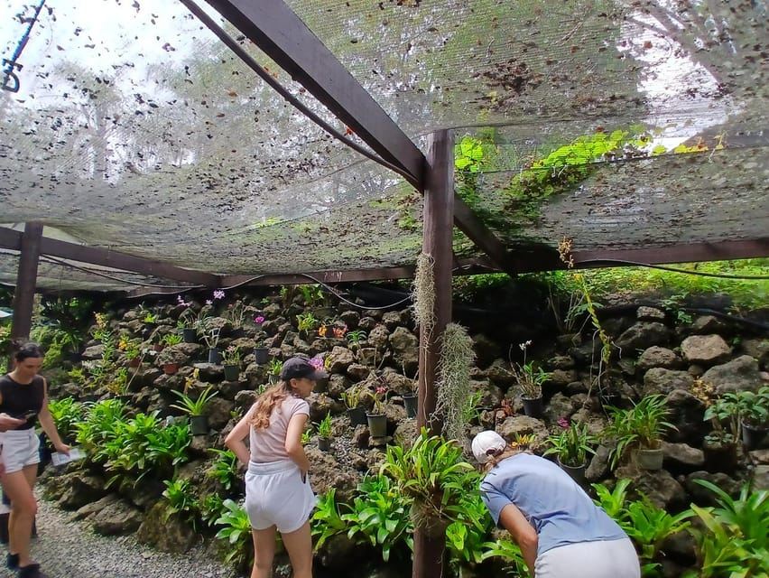 FIJI: Garden of the Sleeping Giant Tour