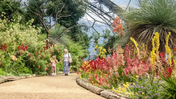 Cornwall: Eden Project Entry Ticket