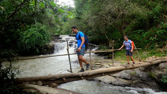 Excursión de senderismo de un día en Chiang Mai