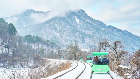 Seul: tour invernale nella valle ghiacciata di Eobi, nell'isola di Nami e altro ancora