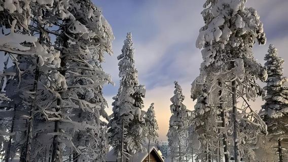 芬蘭+羅瓦涅米+世界最北麥當勞一日遊/行程可調-可定制多日