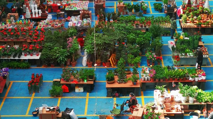 滇池+西山龍門+海埂公園+茶馬花街+官渡古鎮+鬥南花市一日遊