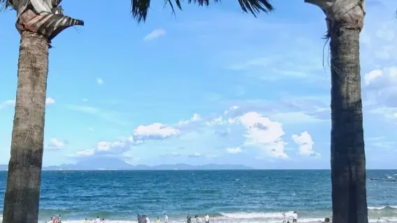 China Guangzhou - Shenzhen (Dameisha, Xiaomeisha dan Zhongying Street) Tur sewa kendaraan pribadi perjalanan satu hari/ Itinerary yang Dapat Disesuaikan