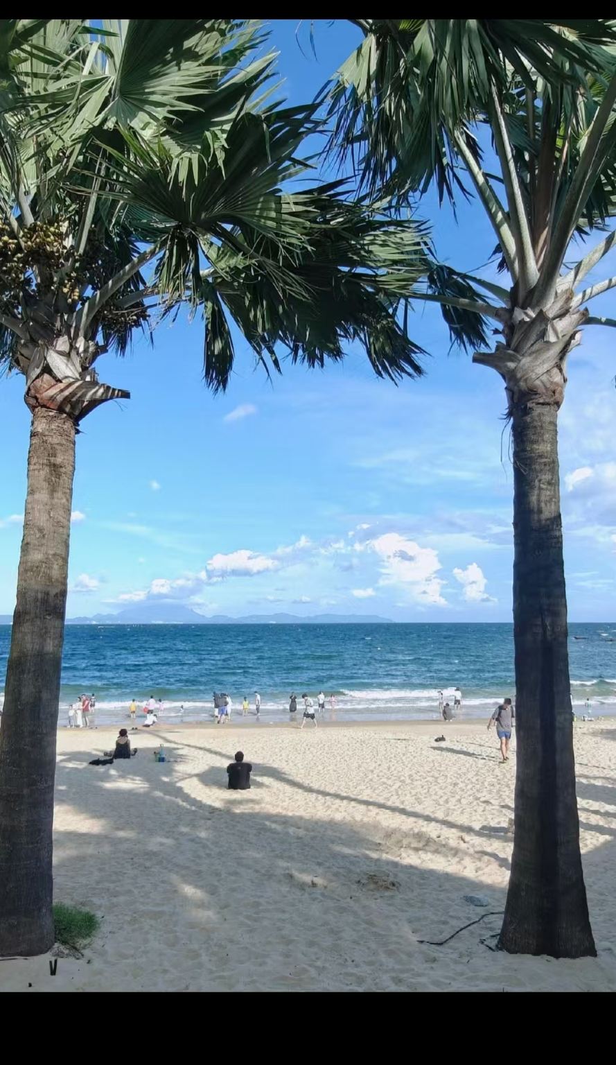 Guangzhou, China—Shenzhen (Dameisha + Xiaomeisha + Chung Ying Street) private charter 1-day tour / customizable itinerary