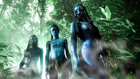 望天樹景區一日遊【精選純玩團/高評價導遊/可升級特色簸箕餐】