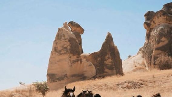 Séance photo dans la vallée : voiture classique, cheval au galop et cadeau de maquillage