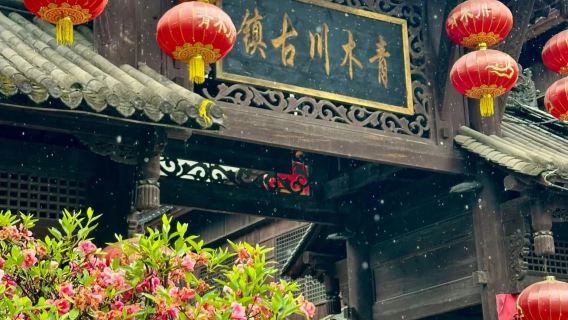 隴南出發青木川古鎮1日遊【武都起止·含門票·1—8人團】