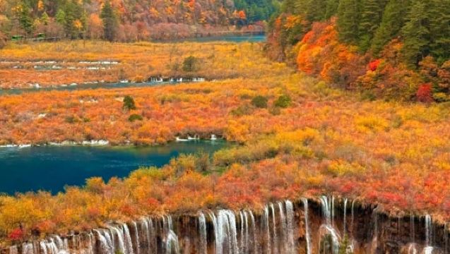 隴南出發九寨溝1日遊【隴南武都起止·上門接送1—8人小團】