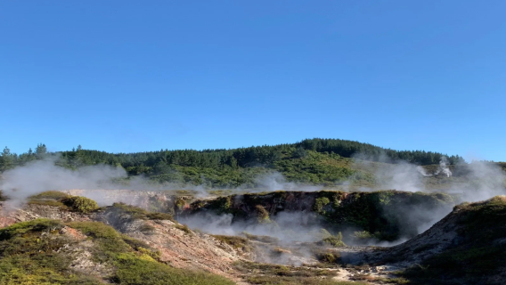 紐西蘭陶波｜旅遊陪同翻譯｜展會｜商務考察洽談｜自由行地接｜接機（可私人訂製）