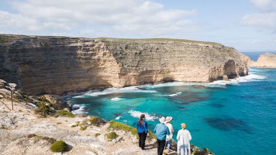Eyre Peninsula Port Lincoln National Park + Winter Hill + Whalers Way day tour