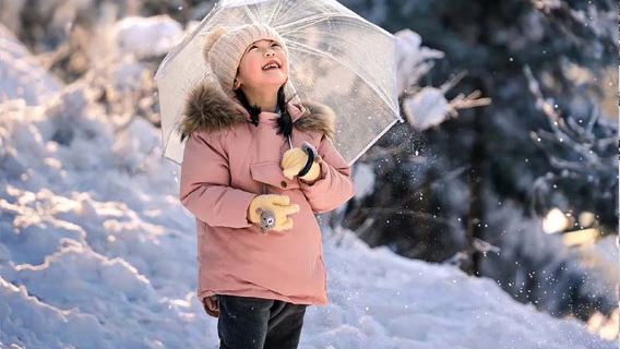 伊春+九峰山養心谷+金山鹿苑ワンデーツアー【貸切チャーター、時間はお客様次第】