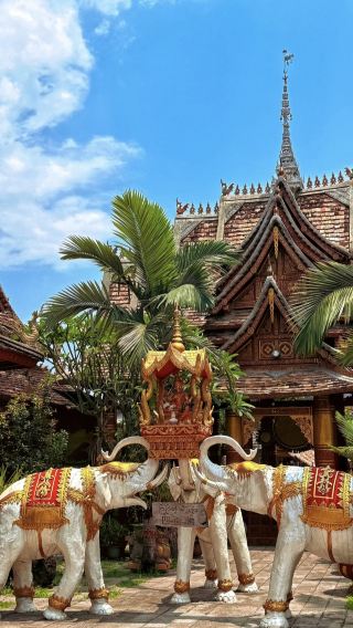 ผจญภัยในป่าบานา: เยือนยักษ์ใหญ่แห่งป่าฝน ดำดิ่งสู่ความลับของหมู่บ้านไท่ในเทศกาลอันอลังการ