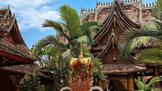 Banna Adventure: Encountering Rainforest Giants and Immersing in Dai Village Festivities