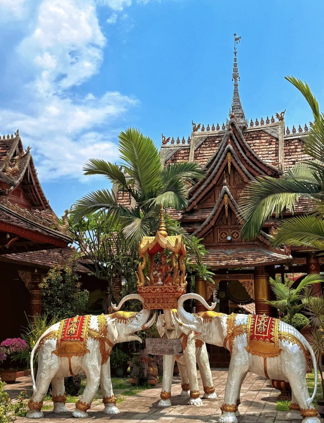 Abenteuer in Banna: Riesige Regenwald-Attraktionen entdecken und in die Geheimnisse der Dai-Dörfer eintauchen