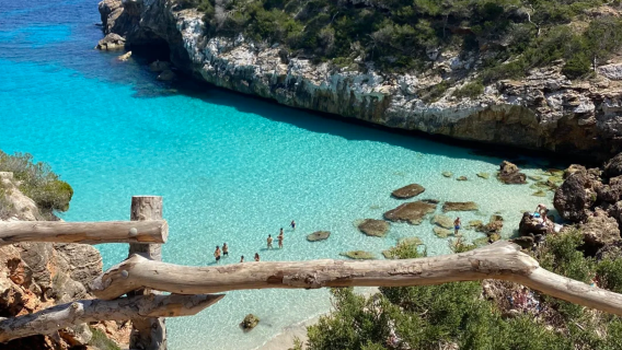 馬略卡島|帕爾馬大教堂 + 帕爾馬海灘 + 索列爾小鎮一日遊