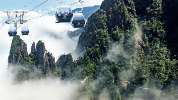 莽山五指峰景區一日遊【東進東出=景點門票+上下索道+觀光車】