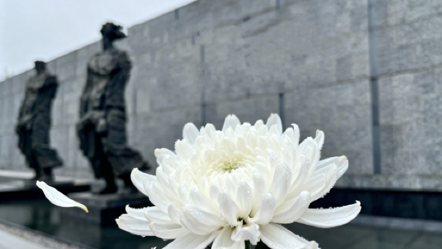 【小團+耳機+可選預約】侵華日軍南京大屠殺遇難同胞紀念館導覽