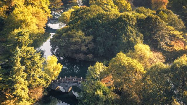 杭州幽賞西湖一日遊【打卡西湖十景+非遺體驗+省博孤山+導覽】