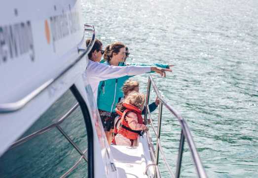 Akaroa Dolphin Harbor Nature Cruise in Christchurch, New Zealand
