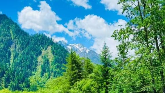 Lawatan sehari bebas dari Chengdu ke tarikan pelancongan Bipenggou (termasuk tiket masuk + bas pelancongan)