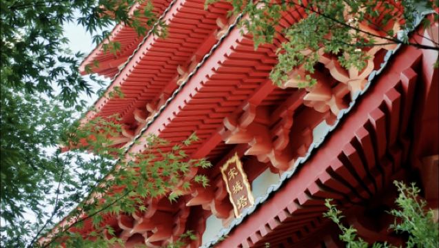 1-day private tour to Emperor Qinshihuang's Mausoleum Site Museum + Huaqing Palace + Song of Everlasting Sorrow performance