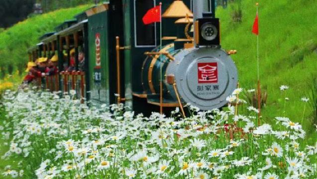 1-day Tour to Avatar + Pengjiazhai + Xuan'en Night View | Tianmen Cave · Hanging House · Gourmet Night Banquet